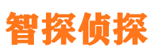 兴平市调查公司